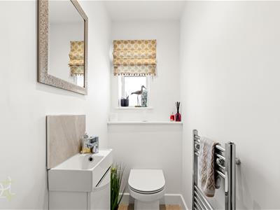 Picture 11